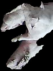 Crop