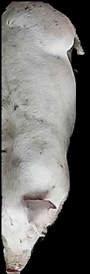 Crop