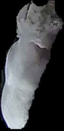 Crop