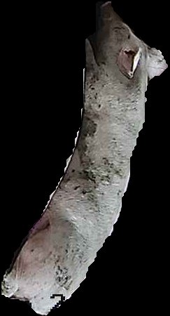 Crop