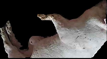 Crop