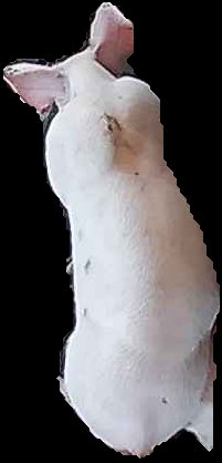 Crop