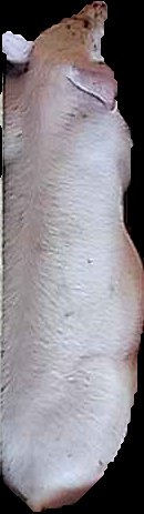 Crop