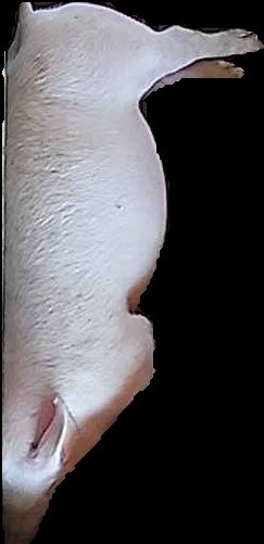 Crop
