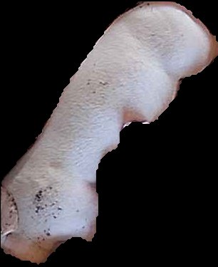 Crop