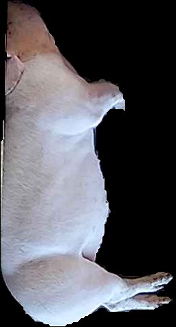Crop