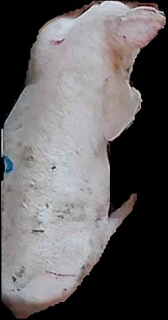 Crop