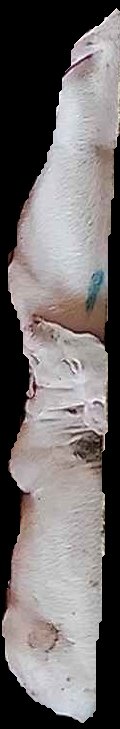 Crop