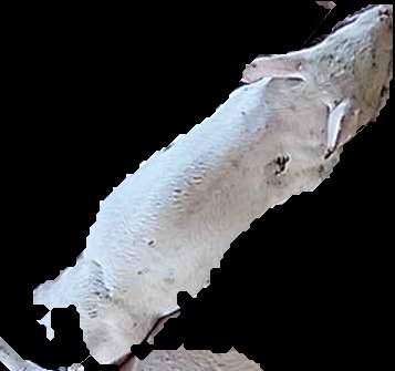 Crop