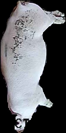 Crop