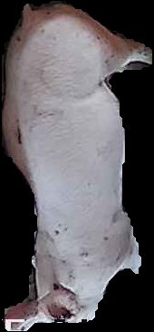Crop