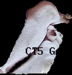 Crop