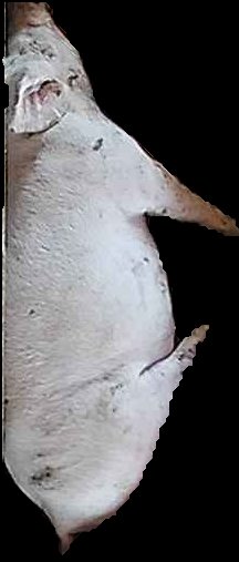 Crop