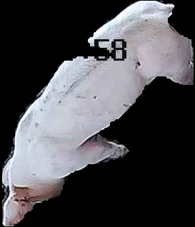 Crop