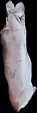 Crop