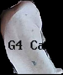 Crop