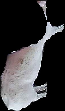 Crop