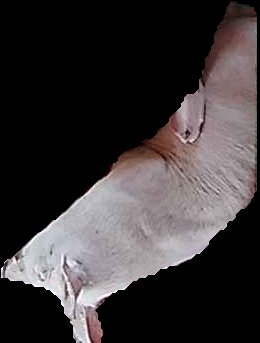 Crop