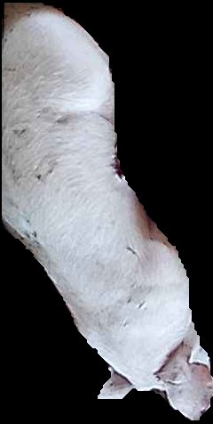 Crop