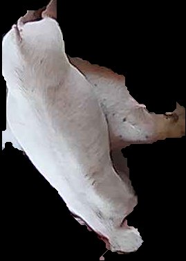 Crop