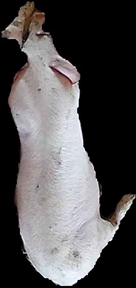 Crop