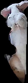 Crop