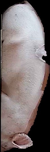 Crop
