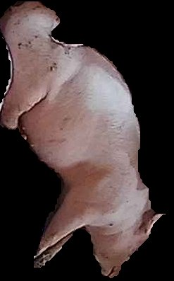 Crop