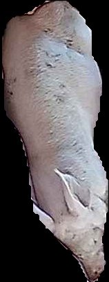 Crop