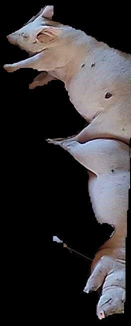 Crop