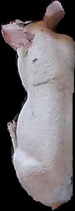 Crop