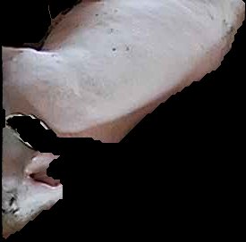 Crop