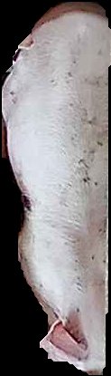 Crop
