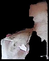 Crop