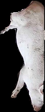 Crop