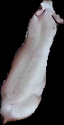Crop