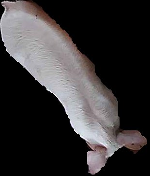 Crop