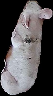 Crop