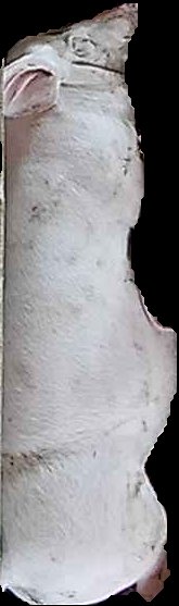 Crop