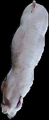 Crop