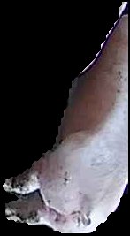 Crop