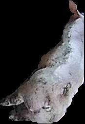 Crop