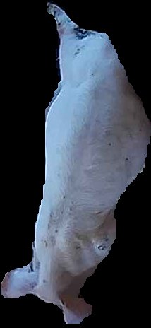 Crop