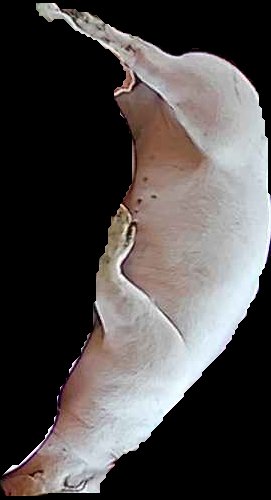 Crop