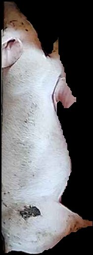 Crop