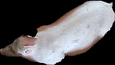 Crop