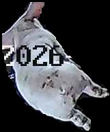 Crop