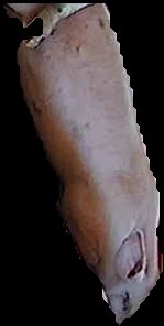 Crop