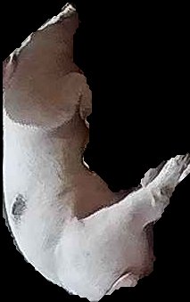 Crop
