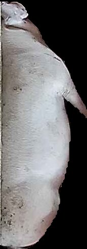 Crop